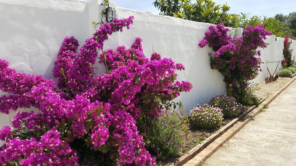 La Posada Del Duende Arcos de la Frontera Bagian luar foto